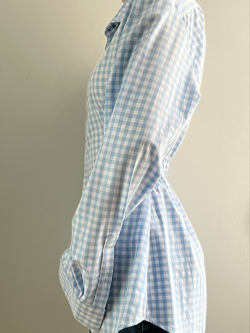 Female wearing a baby blue gingham button down blouse with a cinched elastic back facing left.